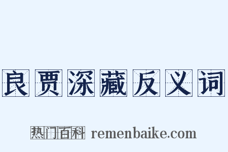 良贾深藏反义词是什么意思的图片